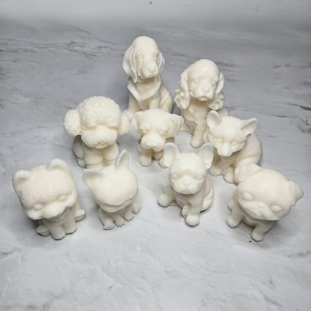 Signature Scoop Collection